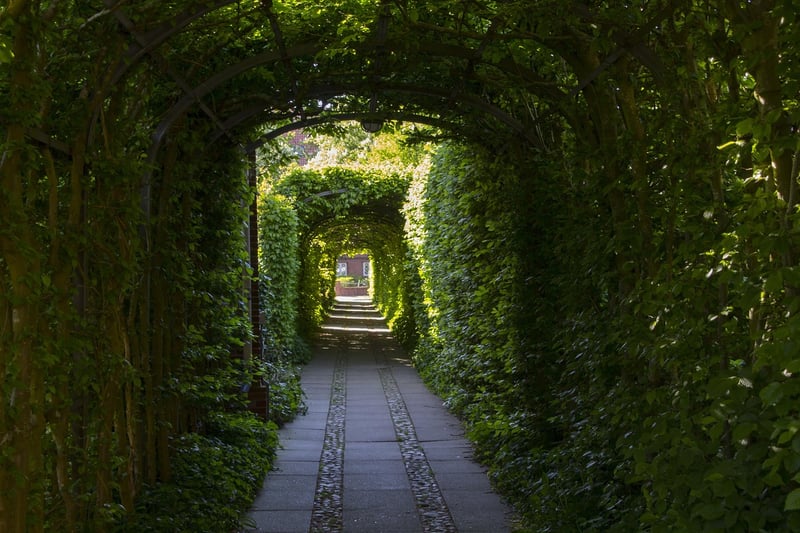 Garden Arbor